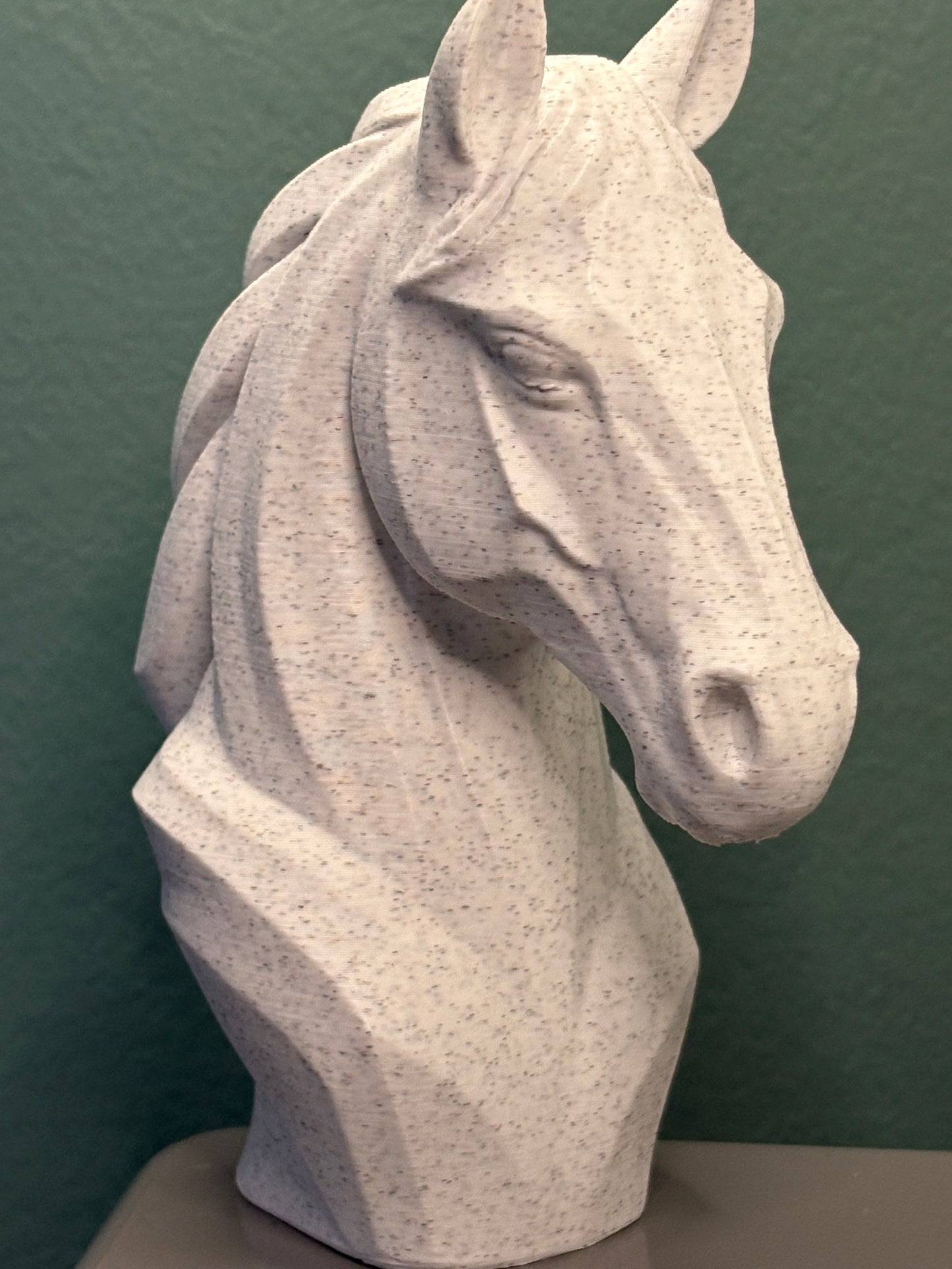 Elegante paardenbuste