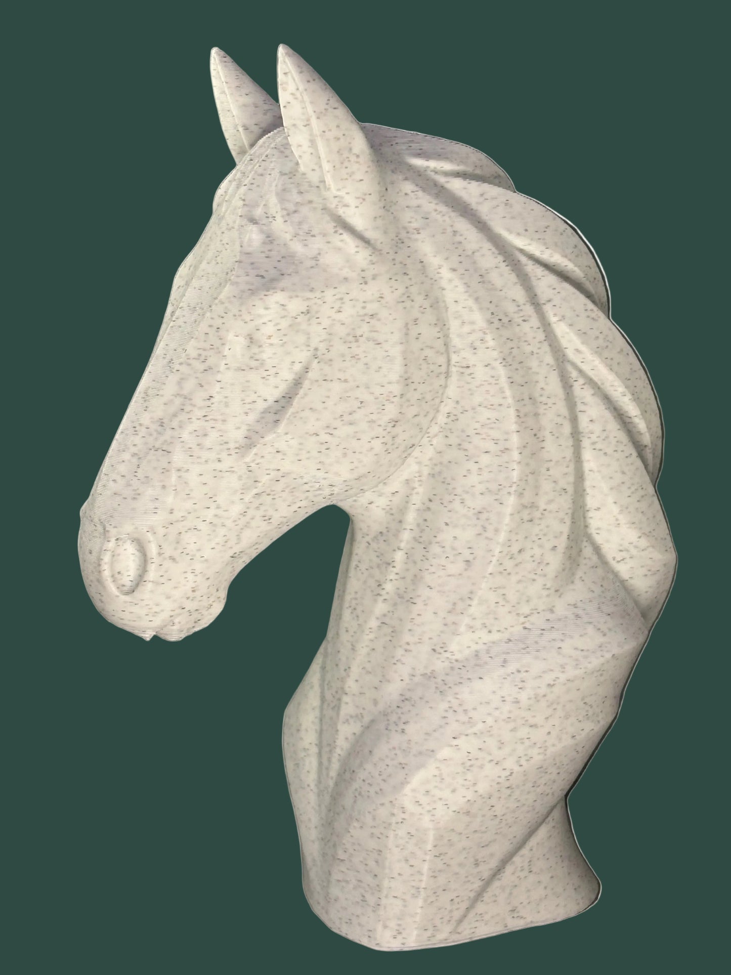 Elegante paardenbuste