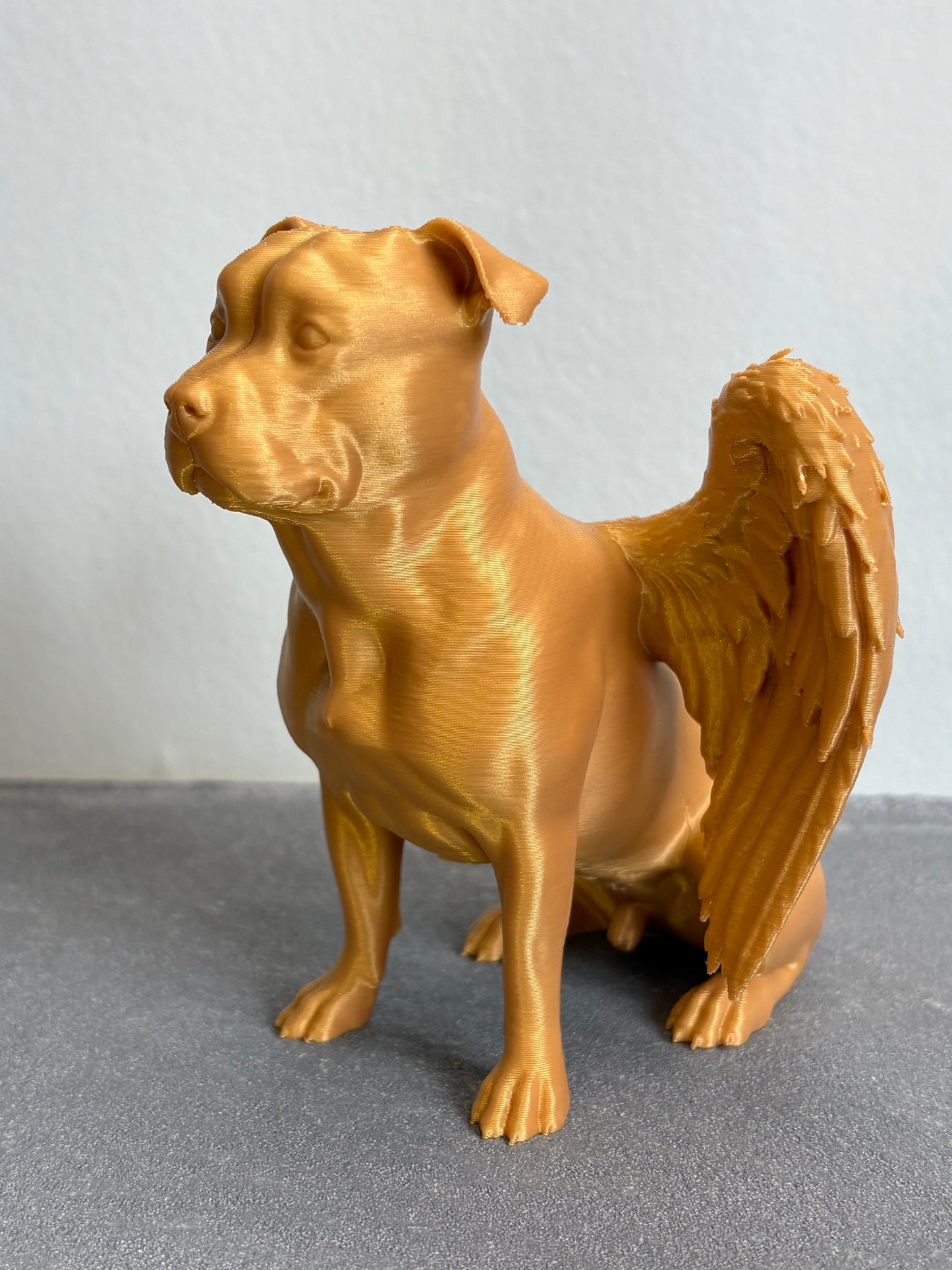 Hond met Engelenvleugels