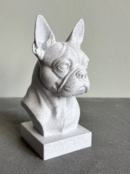 Buste Franse Bulldog of Boston terrier