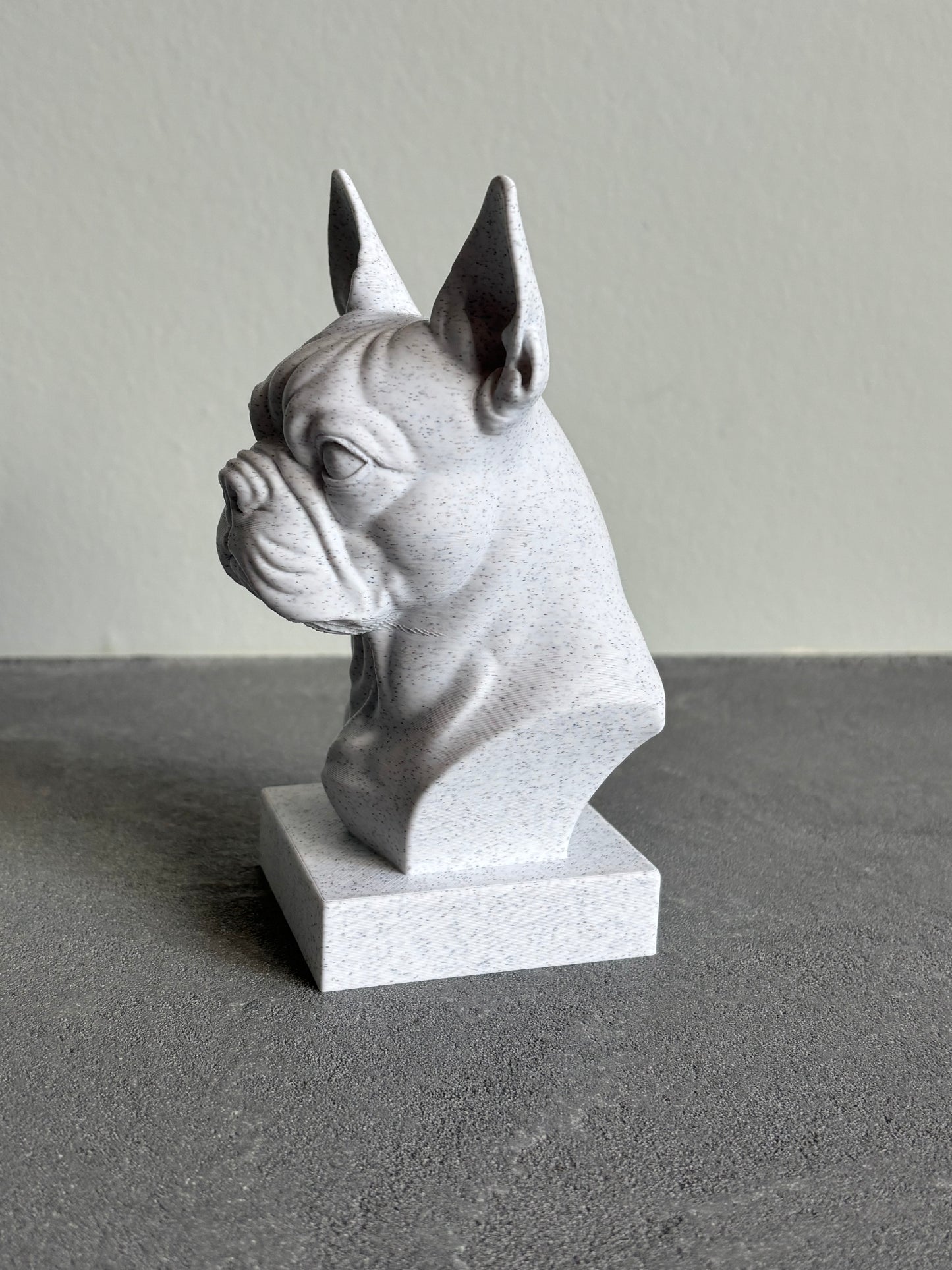 Buste Franse Bulldog of Boston terrier
