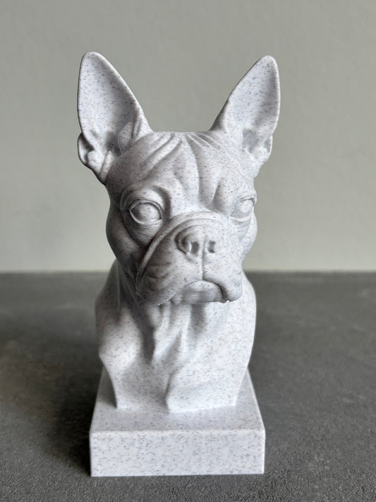 Buste Franse Bulldog of Boston terrier