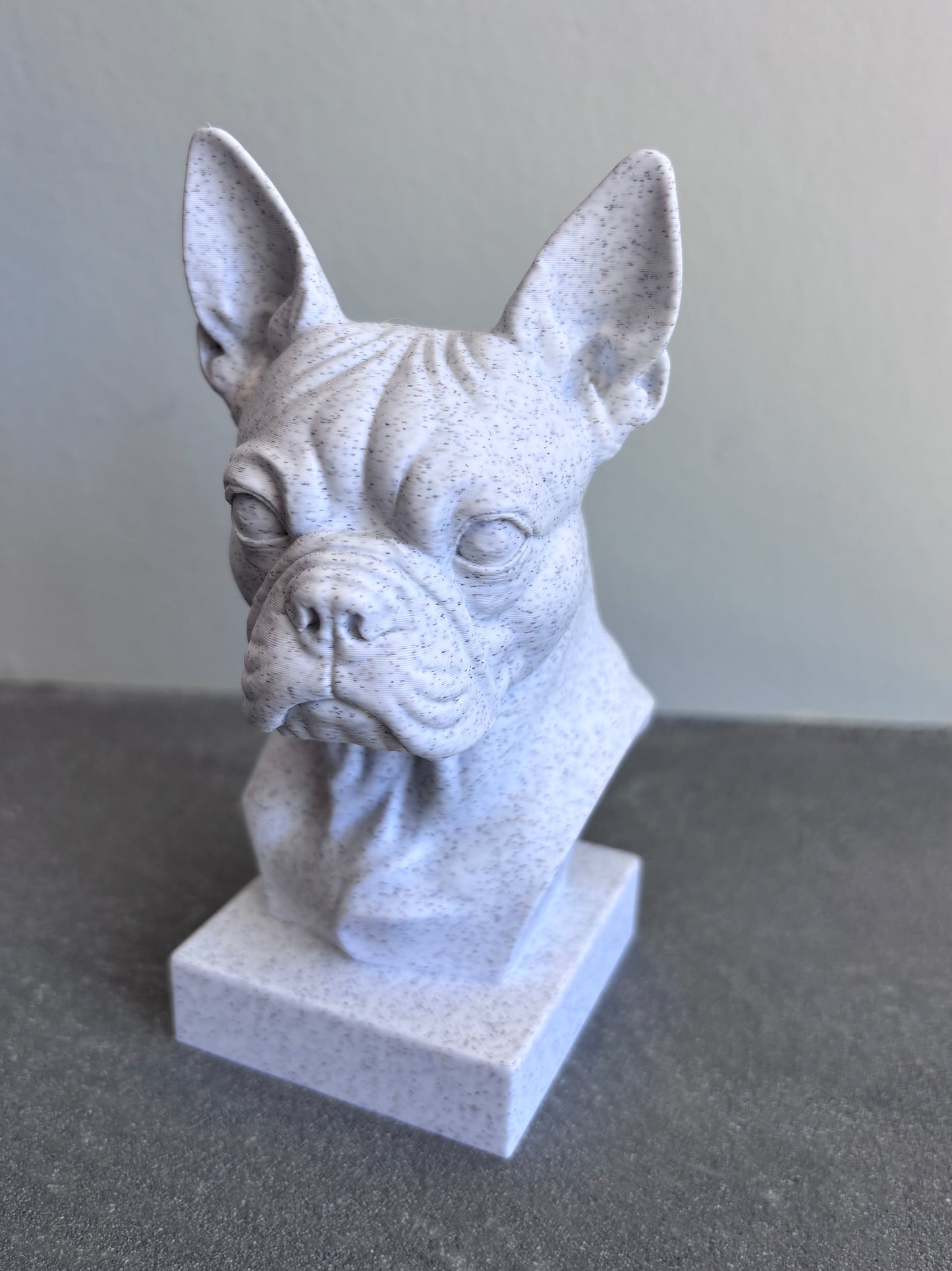 Buste Franse Bulldog of Boston terrier